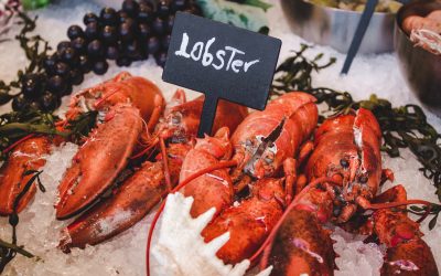 Lobster Fridays